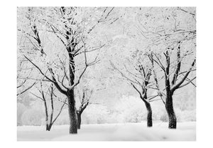 Fotobehang - Bomen - winterlandschap