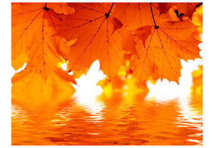 Fotobehang - bladeren - herfst