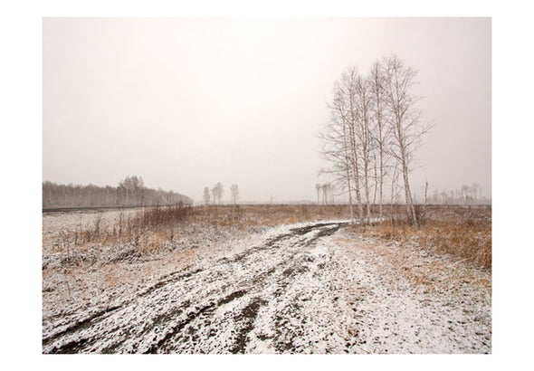 Fotobehang - Winter field