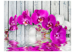 Fotobehang - Violet orchids with water reflexion