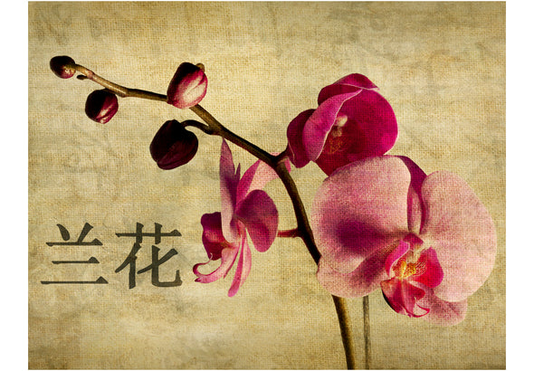 Fotobehang - Japanese orchid