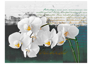Fotobehang - Orchid - dichter inspiratie