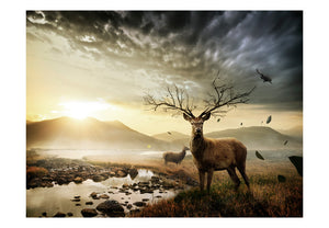Fotobehang - Deers door bergstroompje