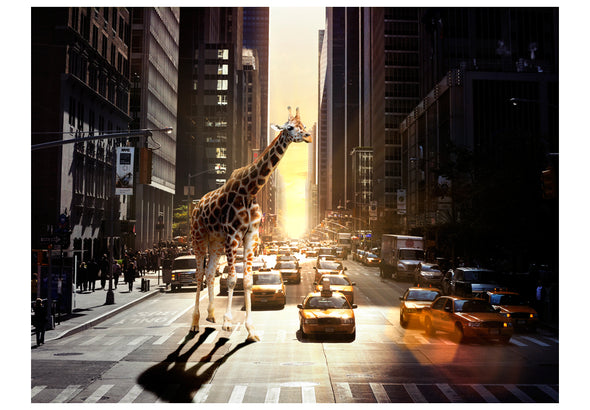 Fotobehang - Giraffe in de grote stad