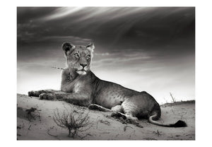 Fotobehang - Zwart-wit leeuwin