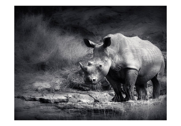 Fotobehang - Rhinoceros wegdromen