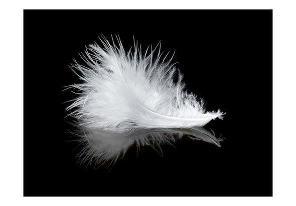 Fotobehang - White feather