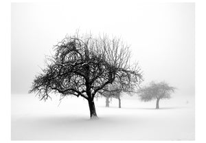 Fotobehang - Winter: Trees