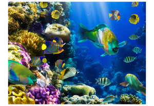 Fotobehang - Onderwaterparadijs