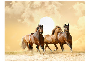 Fotobehang - Running paarden