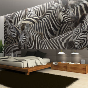 Fotobehang - Kudde zebra's