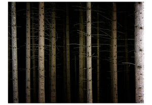 Fotobehang - Deep dark forest