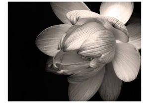 Fotobehang - Lotus flower