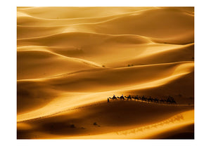Fotobehang - Caravan van kamelen
