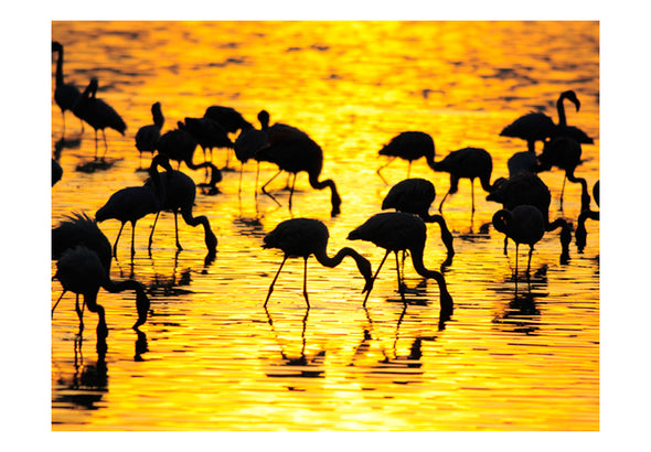 Fotobehang - Kenia: flamingo's aan het meer Nakuru