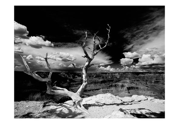 Fotobehang - Grand Canyon boom