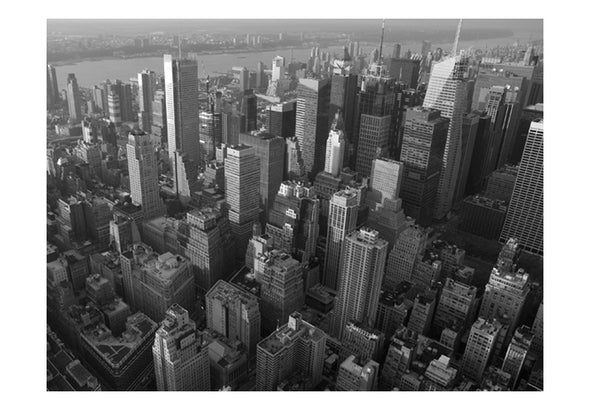 Fotobehang - New York: skyscrapers (bird's eye view)