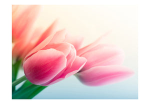 Fotobehang - Lente en tulpen