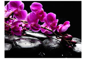 Fotobehang - Ontspannen moment: orchidee bloem en stenen