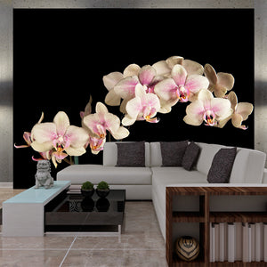 Fotobehang - Bloeiende orchidee