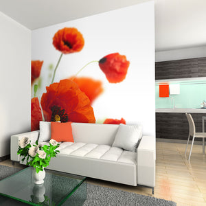 Fotobehang - Poppies on the wihite background