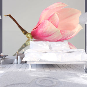 Fotobehang - Een eenzame magnolia bloem