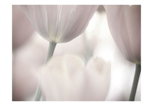 Fotobehang - Tulips fine art - black and white