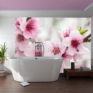 Fotobehang - Spring, bloeiende boom - roze bloemen