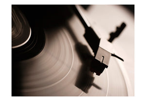 Fotobehang - Gramophone and vinyl record