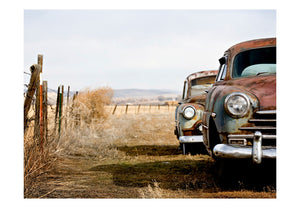 Fotobehang - Twee oude, Amerikaanse auto's