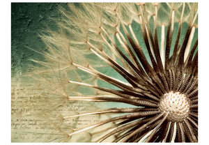 Fotobehang - Focus on dandelion