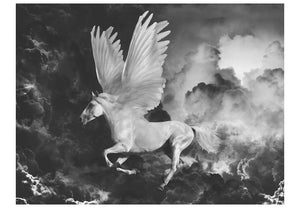 Fotobehang - Pegasus op de weg naar de berg Olympus