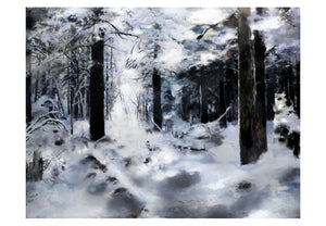 Fotobehang - Winter forest