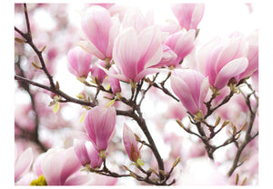 Fotobehang - Magnolia bloosom