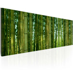 Foto schilderij - Canvas print - Bamboo in the sunshine