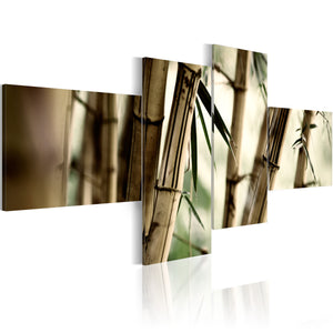 Foto schilderij - Bamboe als inspiratie