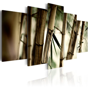 Foto schilderij - Aziatische bamboe bos