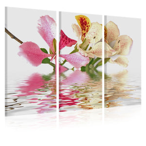 Foto schilderij - Orchideeën met roze vlekken