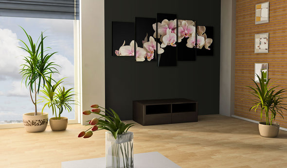 Foto schilderij - Orchideeën op een contrast achtergrond