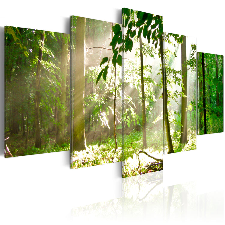Foto schilderij - Zonnestralen in het bos