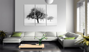Foto schilderij - Bomen prachtig wit gekleurd