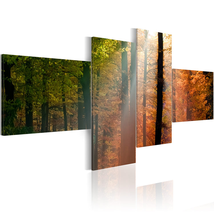 Foto schilderij - Zonnestralen door de bomen