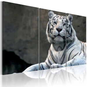 Foto schilderij - Witte tijger