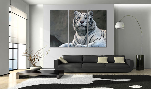 Foto schilderij - Witte tijger
