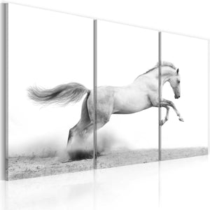 Foto schilderij - Paard in galop