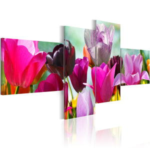 Foto schilderij - Betovering van roze tulpen