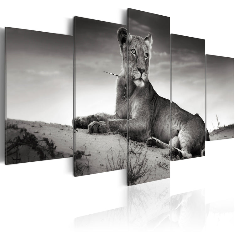 Foto schilderij - Lioness in a desert