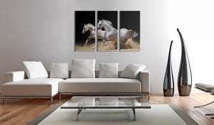 Foto schilderij - Horses- power and velocity