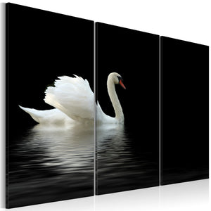 Foto schilderij - A lonely white swan