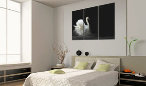 Foto schilderij - A lonely white swan